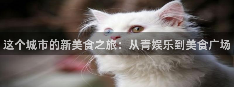 先锋娱乐公司