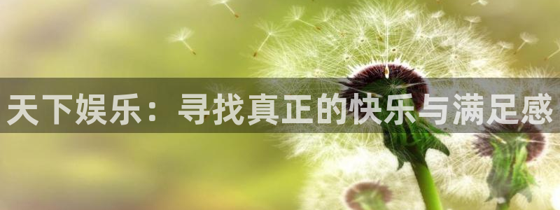 先锋娱乐公司
