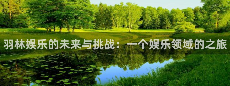 先锋娱乐公司